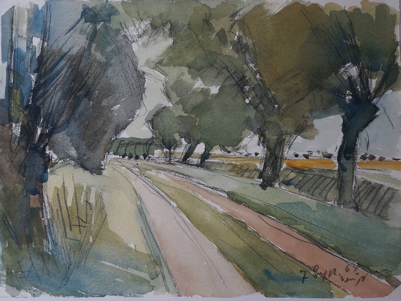 1964