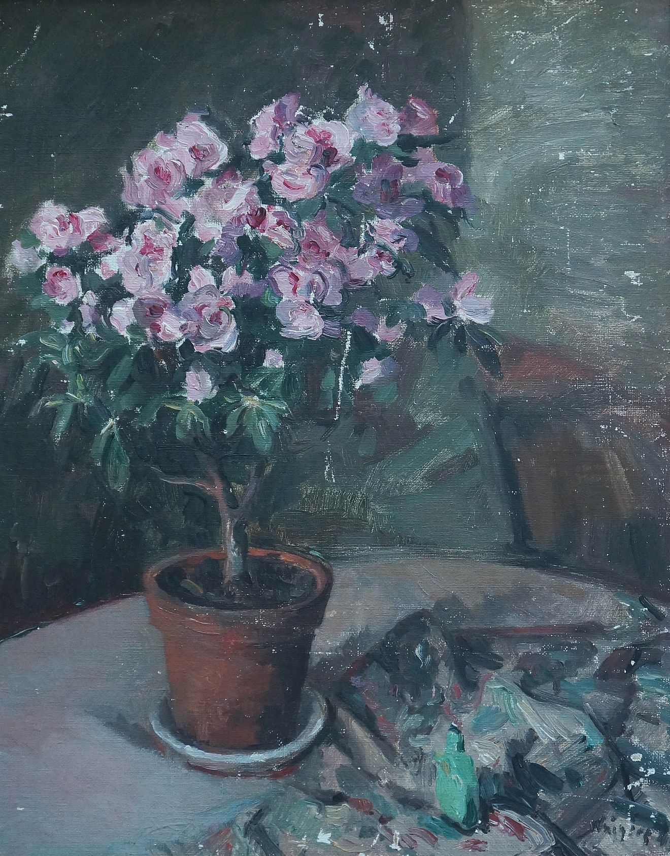 1954
